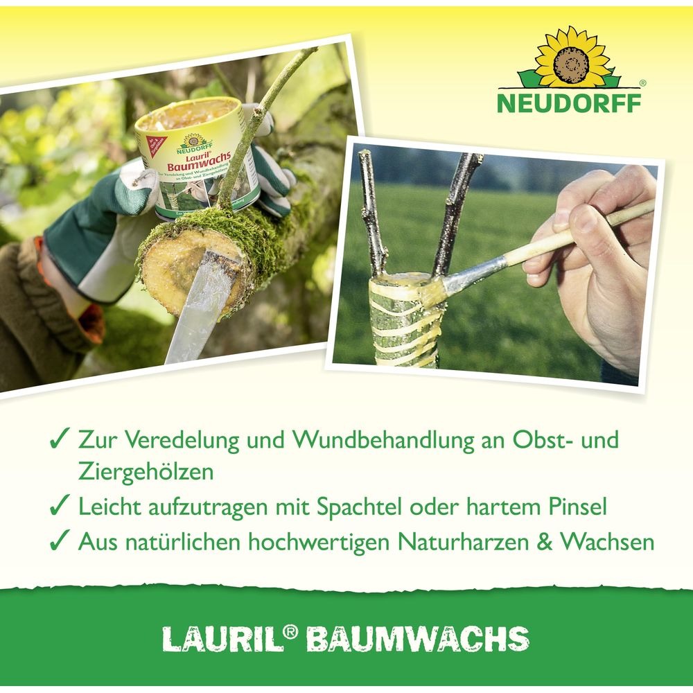 Neudorff Lauril Baumwachs in Anwendung zur Wundbehandlung und Veredelung von Gehölzen.