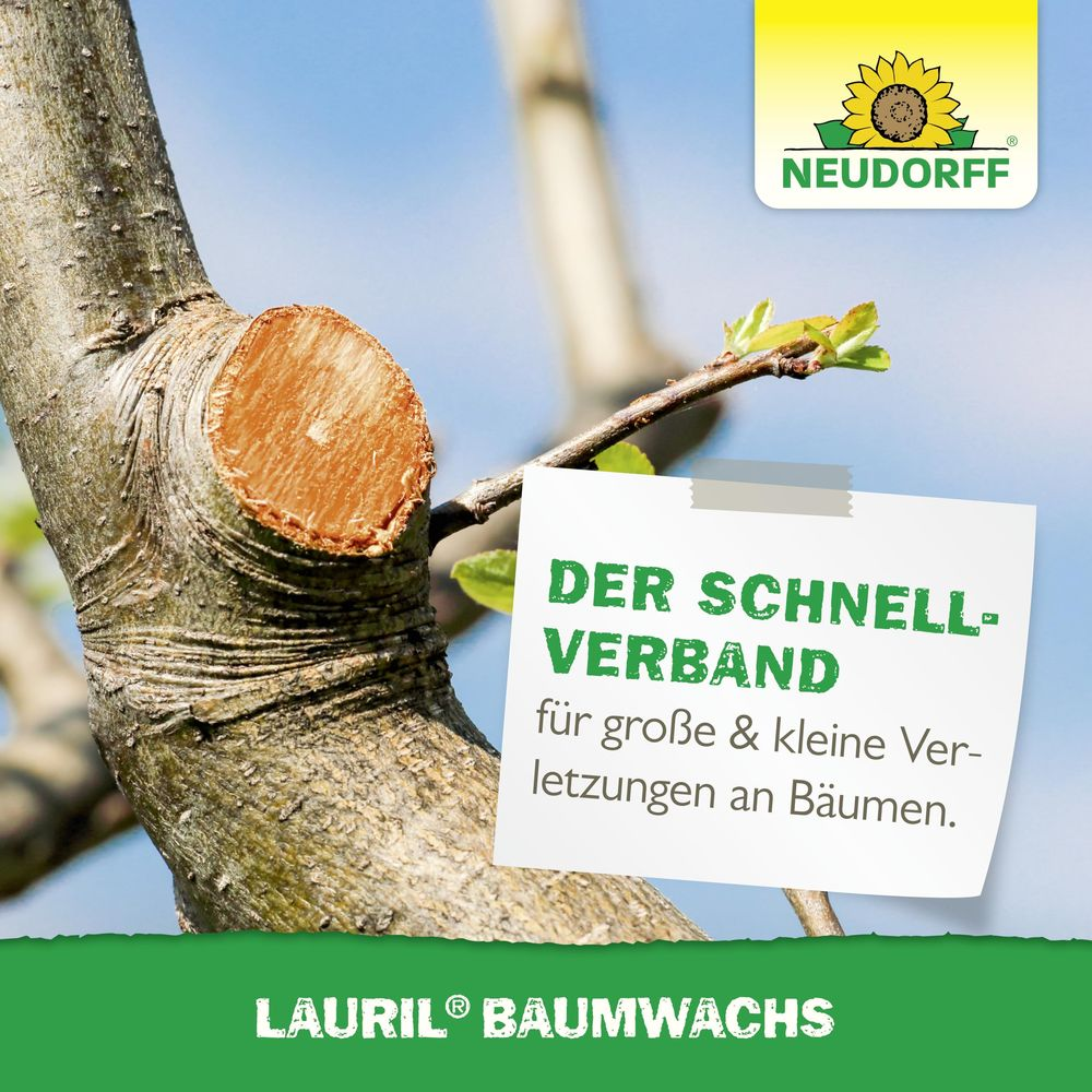 Ein Baumstamm mit Schnittstelle, ein Produktshinweis für Baumwachs und das Neudorff-Logo.