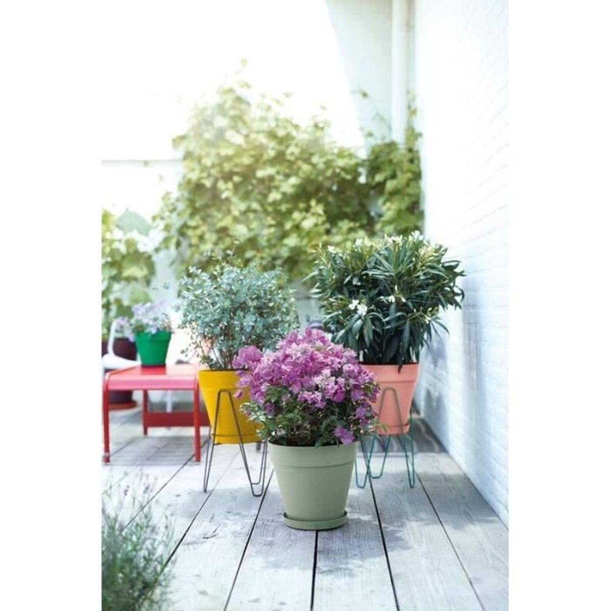 Bunte Blumentöpfe mit grünen Pflanzen und rosafarbenen Blüten stehen auf einer Holzterrasse.