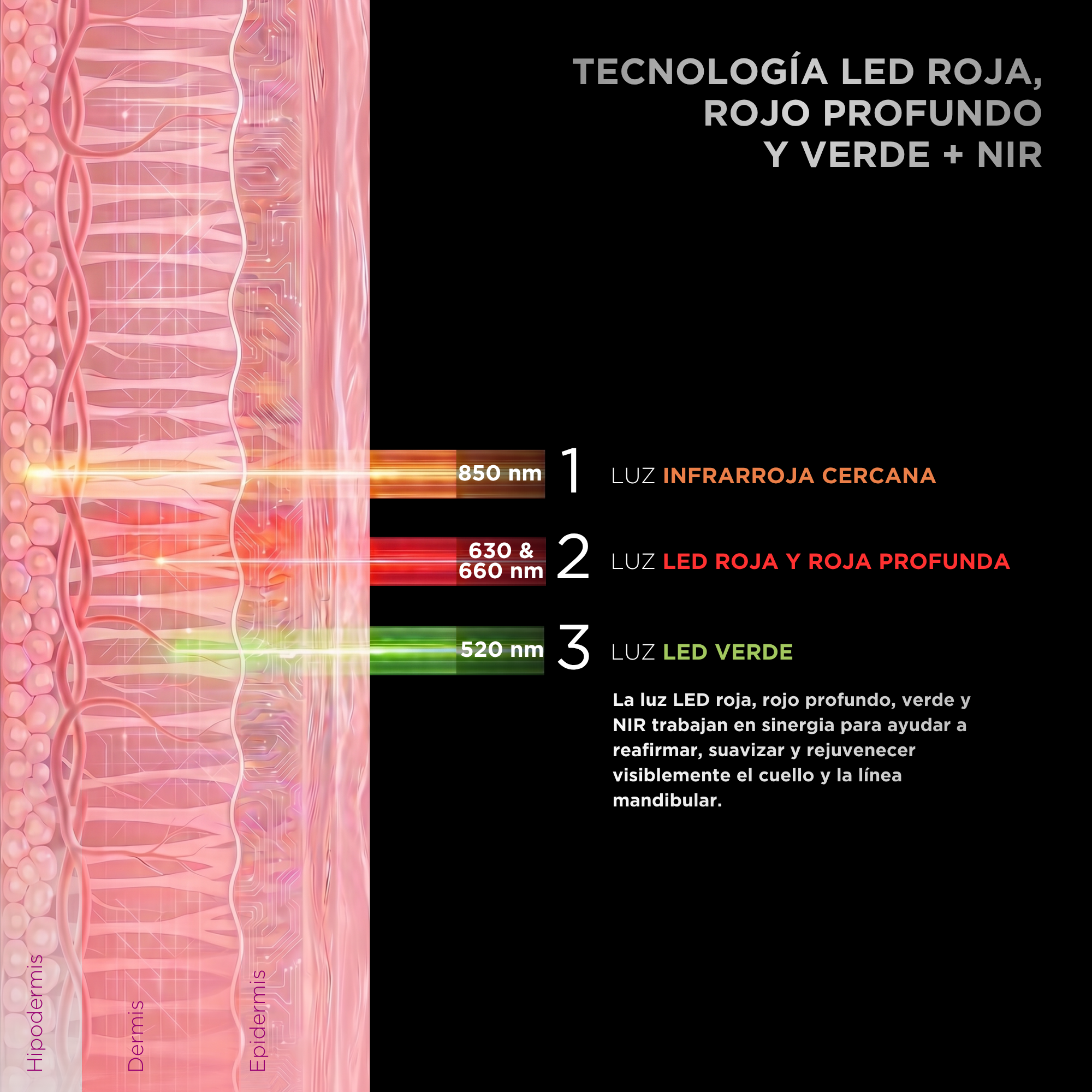Diagrama muestra el efecto de la luz infrarroja, roja y verde en capas de la piel para rejuvenecimiento.