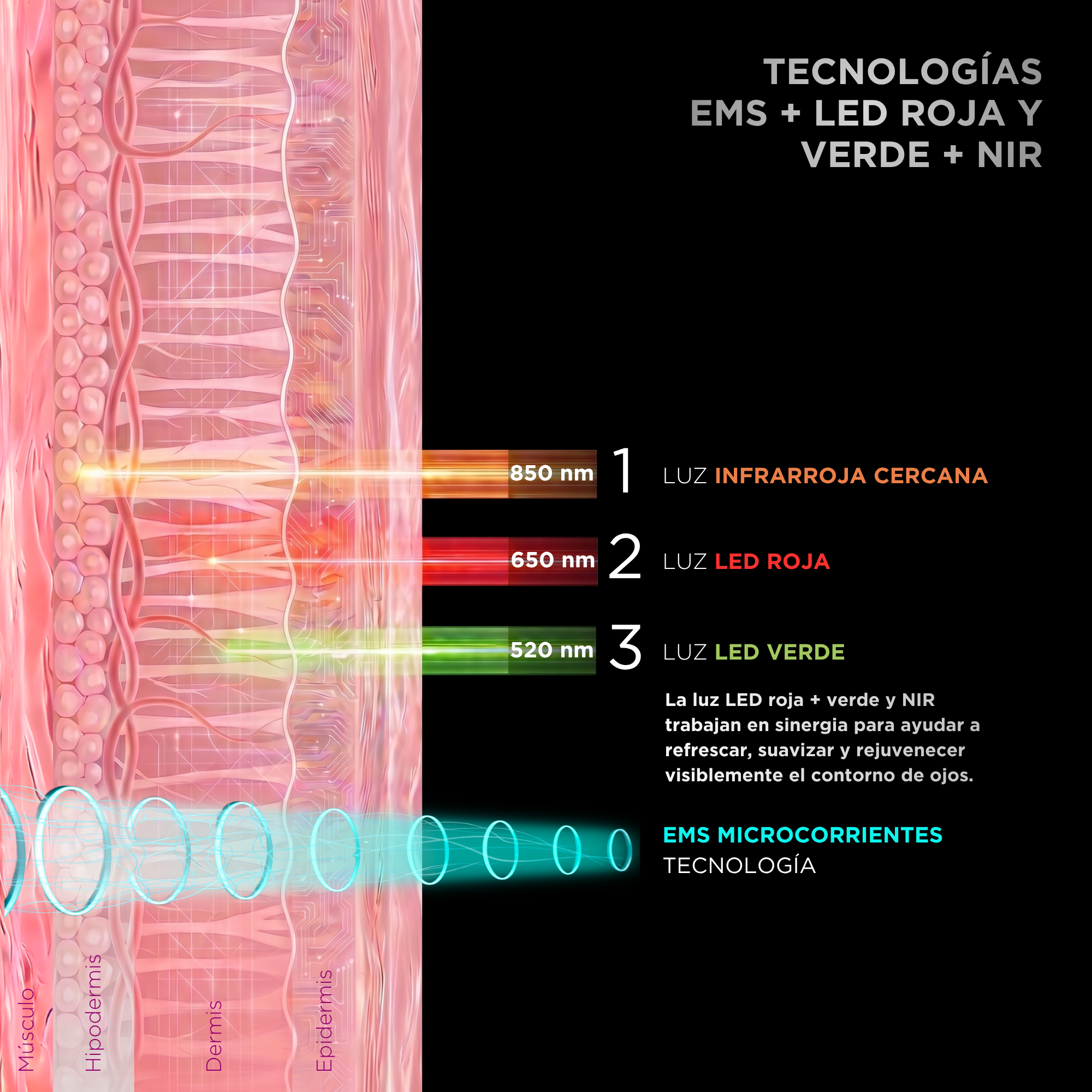 Diagrama muestra capas de la piel y tecnología con EMS y luces LED para el contorno de ojos.