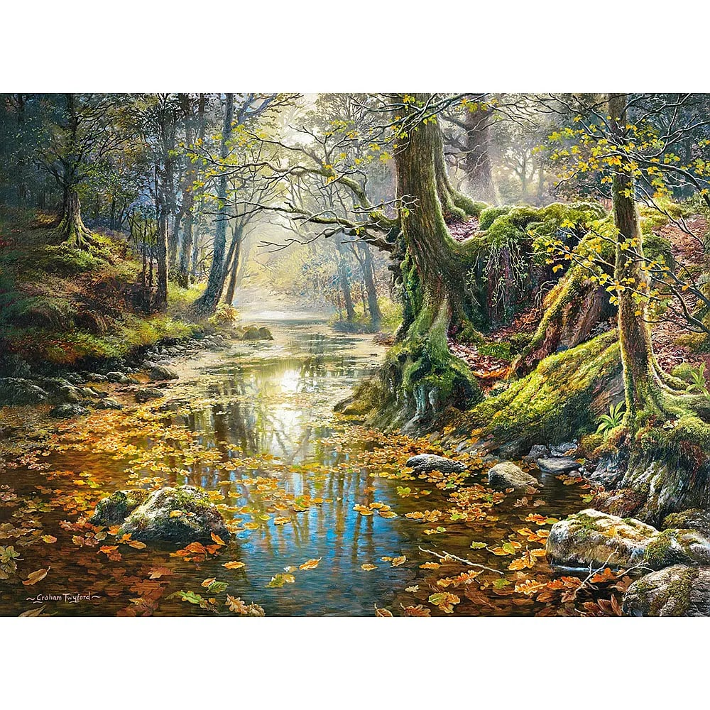 Ein ruhiger Waldbach fliesst durch moosige Ufer und alte Baeume, das Wasser spiegelt Sonnenlicht und Herbstblaetter.