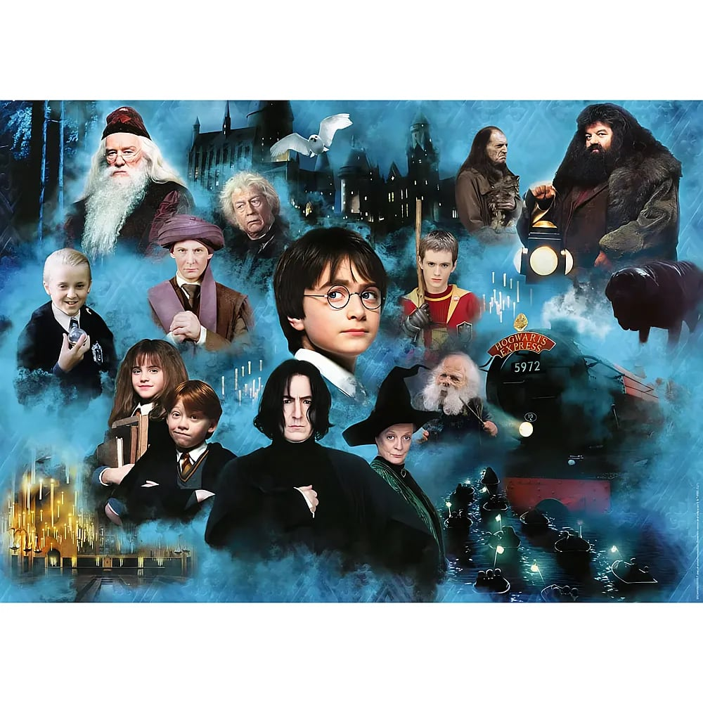 Harry Potter und andere Charaktere vor Hogwarts in einer blauen Collage.