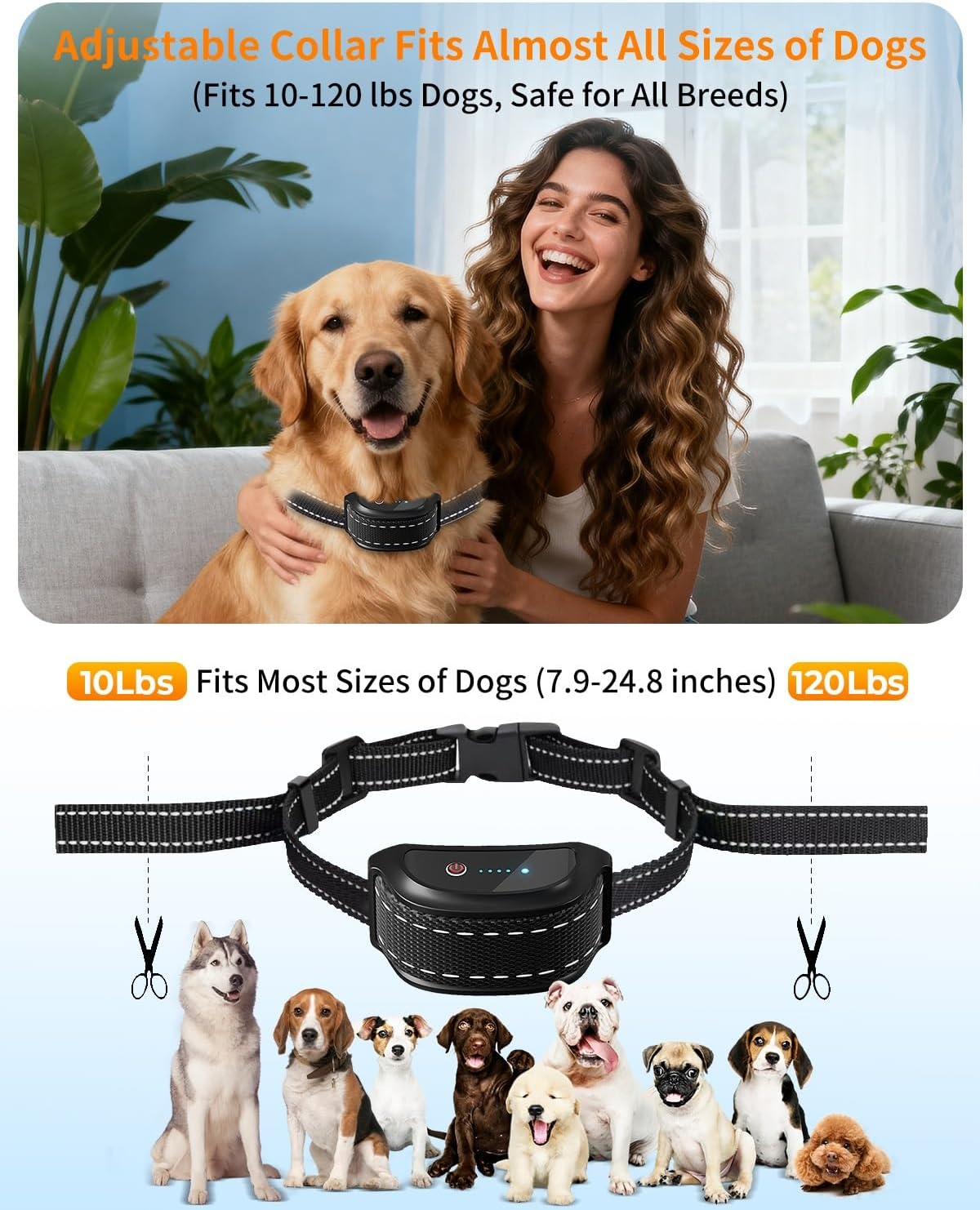 Eine glückliche Frau hält einen Golden Retriever mit einem elektronischen Halsband, das für verschiedene Hunde passt.
