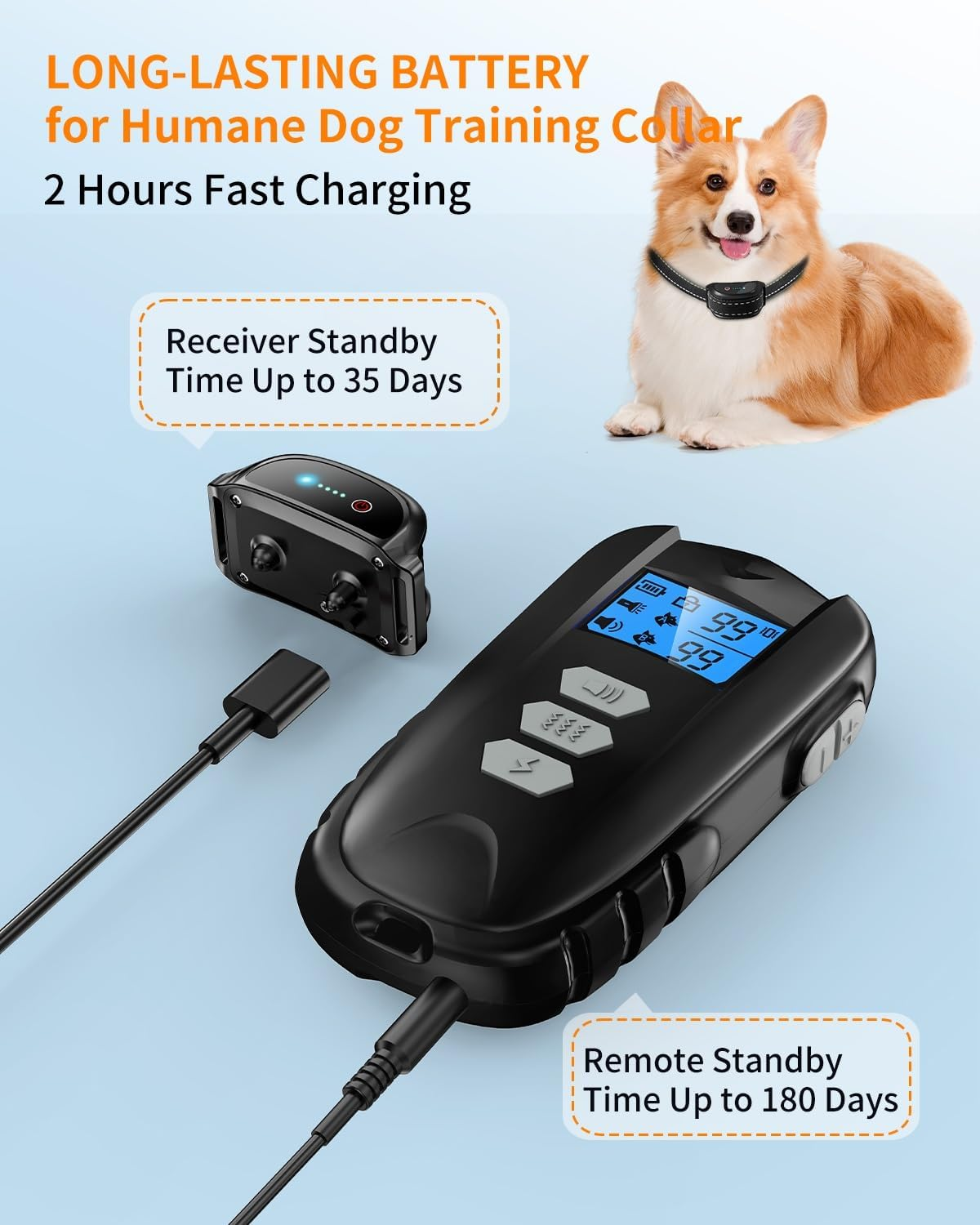 Ein Corgi mit Trainingshalsband, Fernbedienung, Empfänger und Text zur Akkulaufzeit.