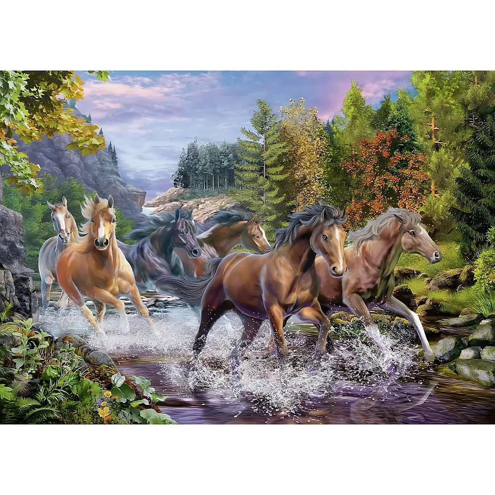 Eine Herde von Pferden galoppiert durch einen flachen Fluss in einer waldreichen Landschaft.
