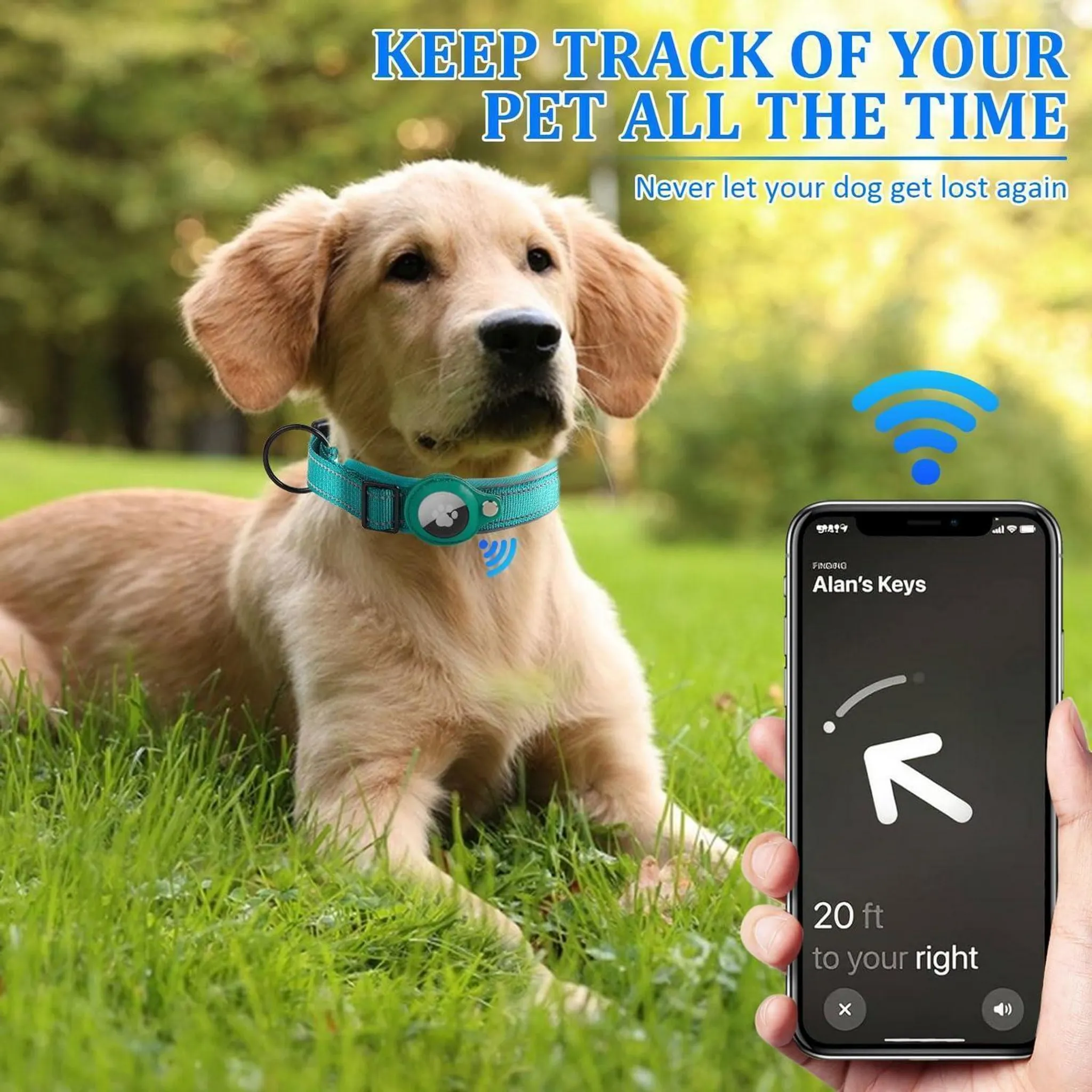 Golden Retriever-Welpe im Gras mit blauem Halsband; Hand hält Smartphone mit Ortungs-App.
