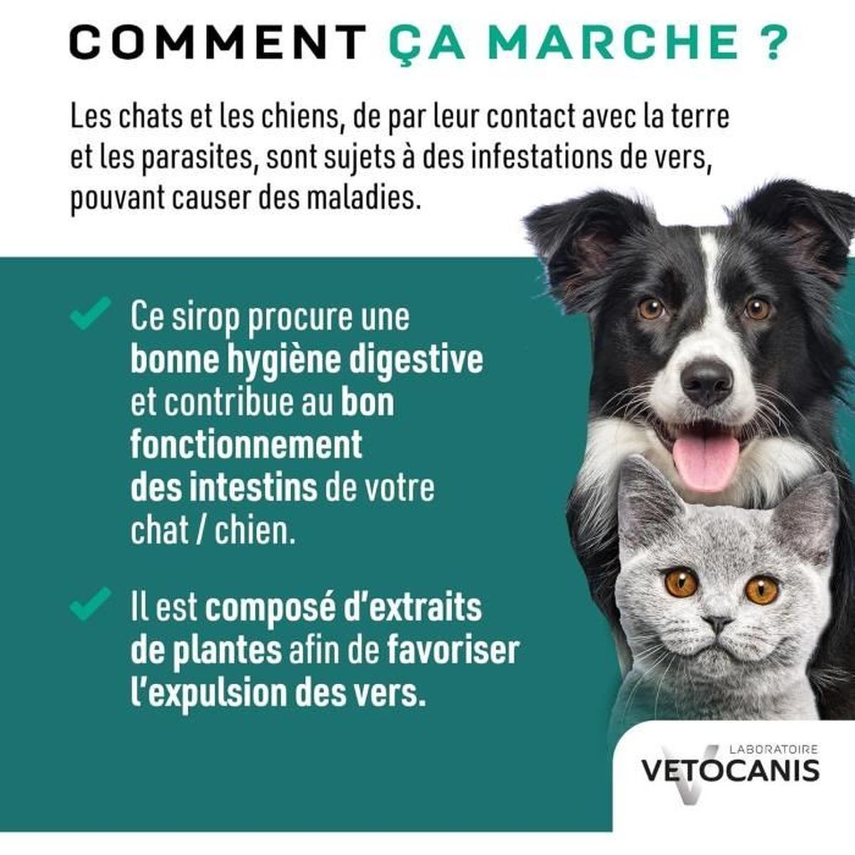 Ein schwarz-weißer Hund und eine graue Katze vor einem grünen Hintergrund mit französischem Text über ein Tierprodukt.