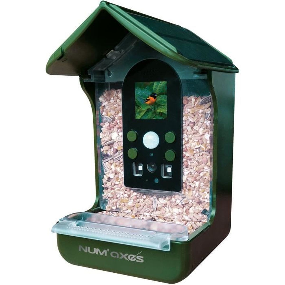 Grünes Vogelhaus mit integrierter Kamera und Vogelfutter im transparenten Behälter.