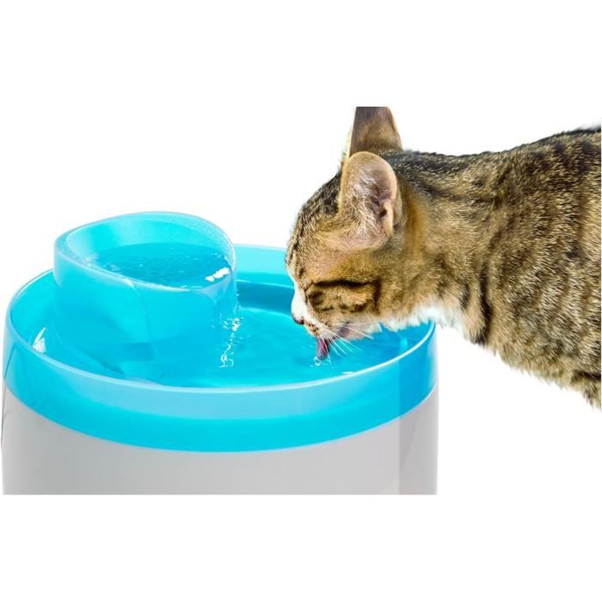 Eine graugemusterte Katze trinkt Wasser aus einem blauen und grauen Trinkbrunnen vor weißem Hintergrund.