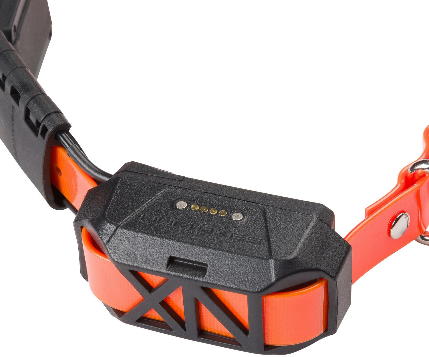 Ein schwarzes elektronisches Gerät ist an einem leuchtend orangen Halsband befestigt.