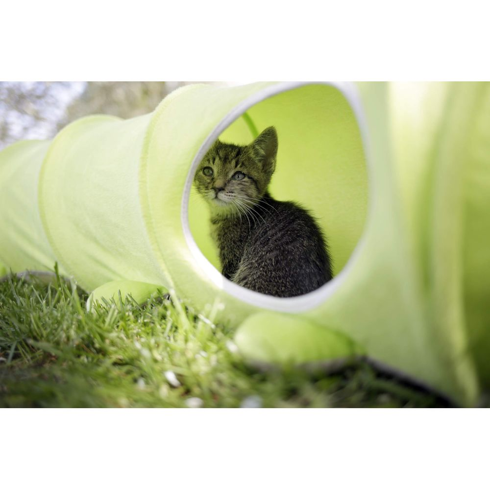 Ein kleines getigertes Kätzchen sitzt in einem grünen Katzentunnel auf dem Gras.