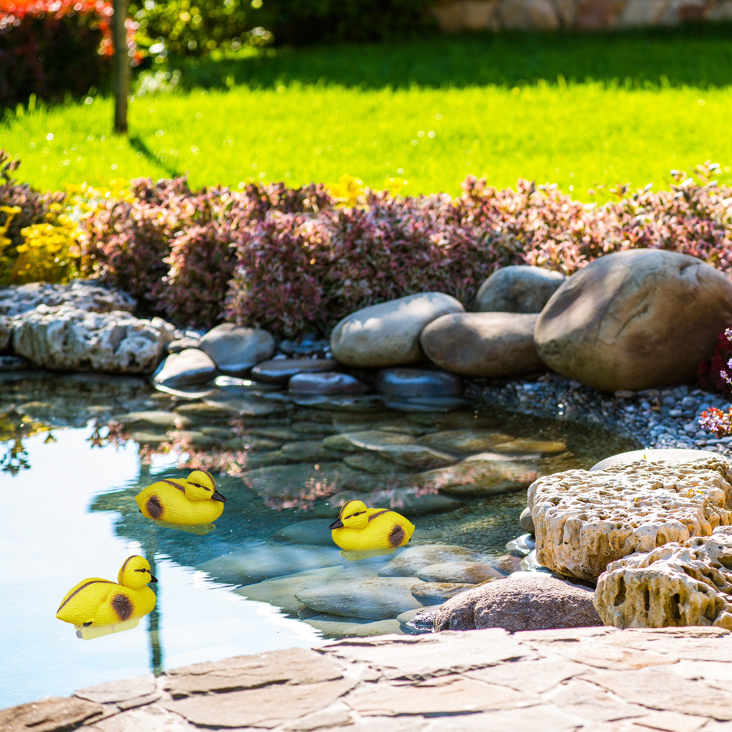 Drei kleine gelbe Enten schwimmen in einem klaren Teich mit großen Felsen und grünem Gras im Hintergrund.