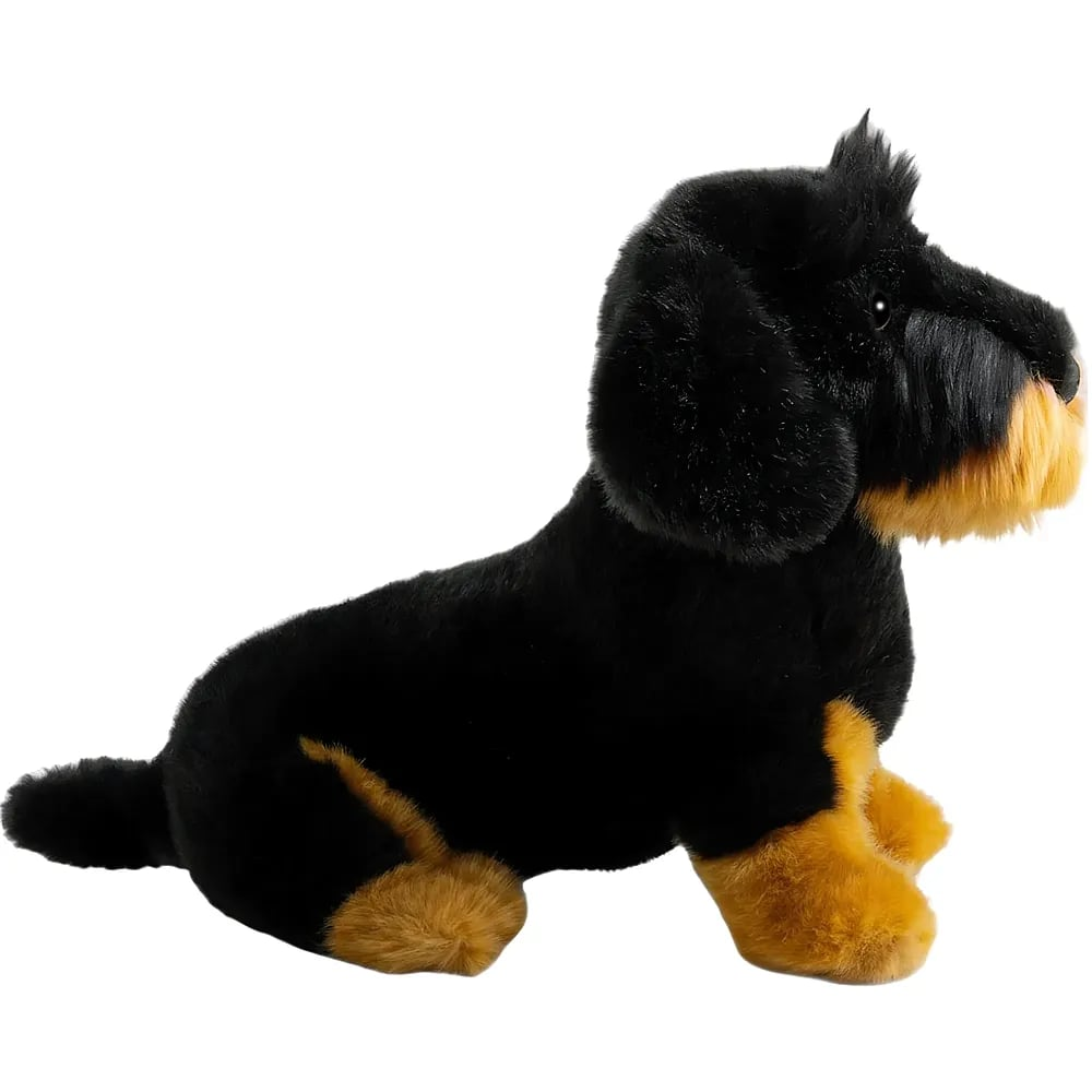 Ein schwarz-brauner Plüschhund sitzt aufrecht vor weißem Hintergrund.