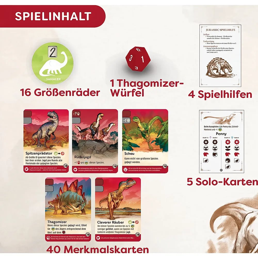 Brettspiel Inhalt mit Dino Karten, Würfeln und Spielhilfen auf weißem Hintergrund.