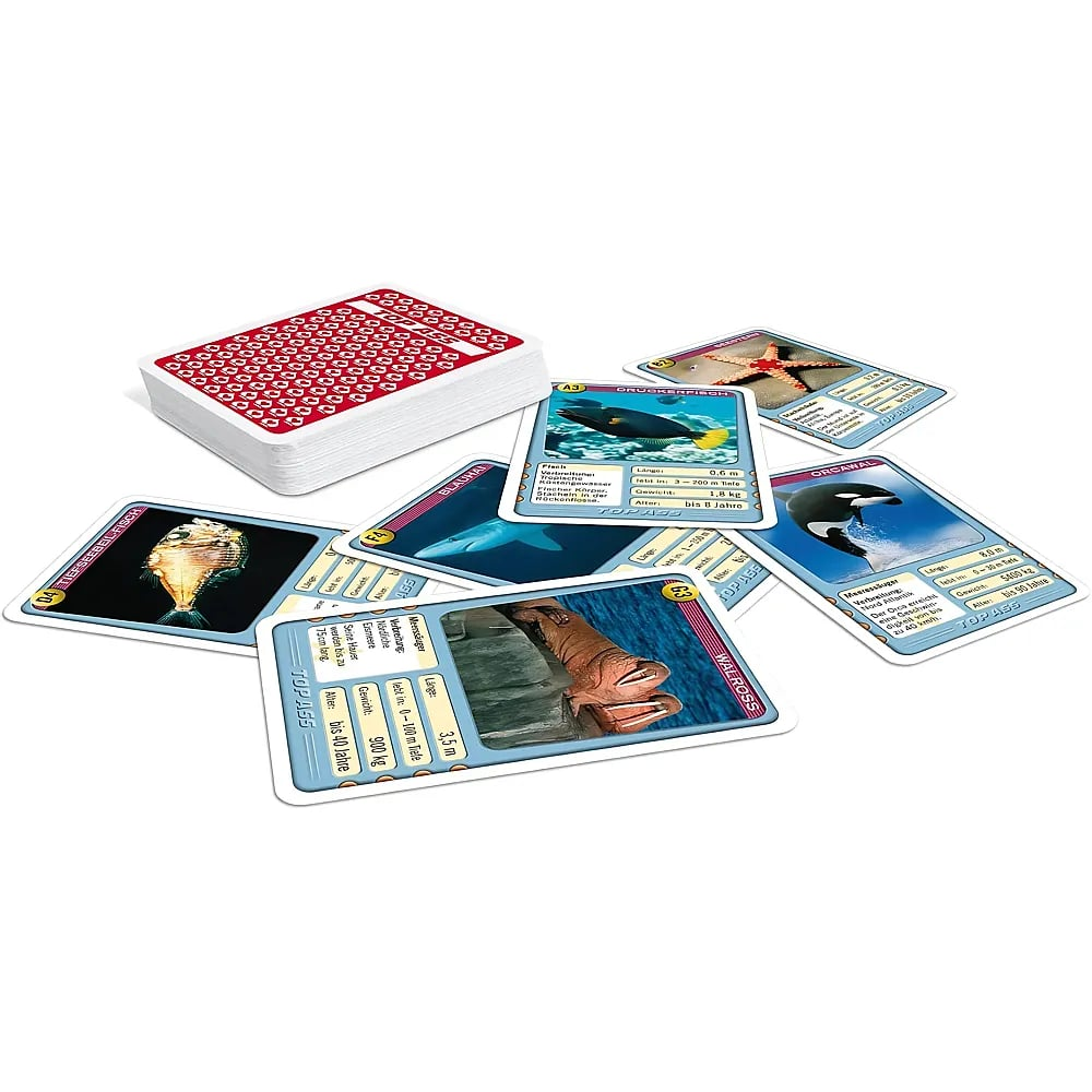 Ein Kartenspiel mit Meeresmotiven liegt verstreut, mit einem großen Stapel und mehreren offenen Karten.