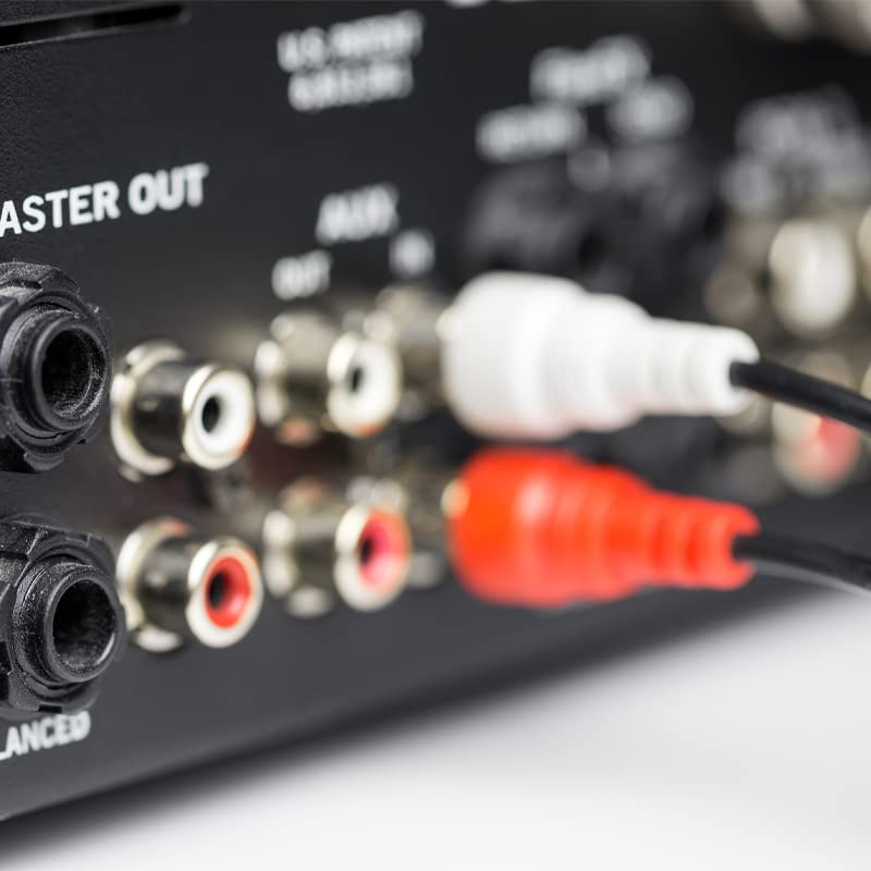 Primer plano del panel trasero de audio con cables RCA rojos y blancos conectados y etiquetas.