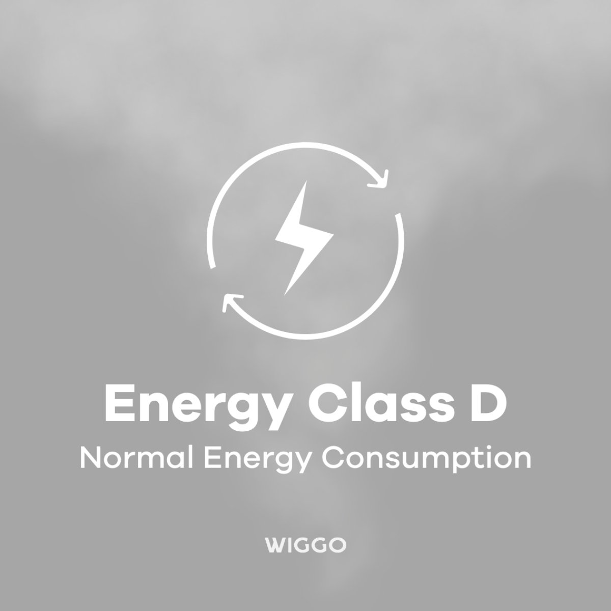 Energy Class D with a lightning bolt symbol in a circle and WIGGO text.