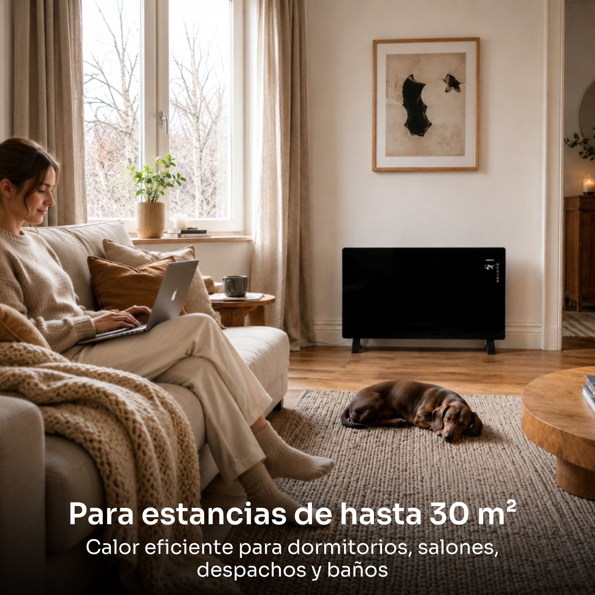 Una mujer usa una laptop en un sofá, un perro duerme en la alfombra y hay un calefactor negro.