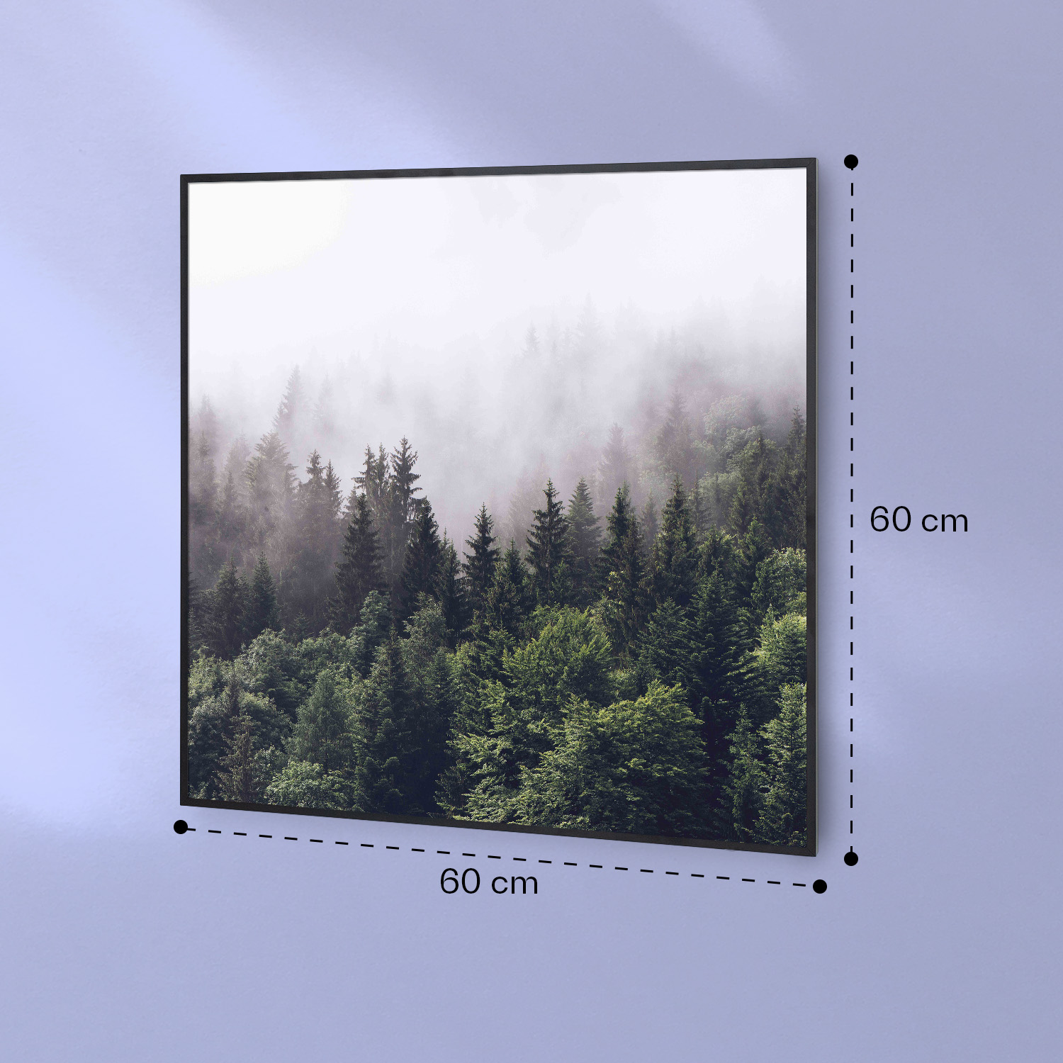 Un quadro quadrato di 60x60 cm mostra pini verdi nella nebbia fitta su una parete azzurra.