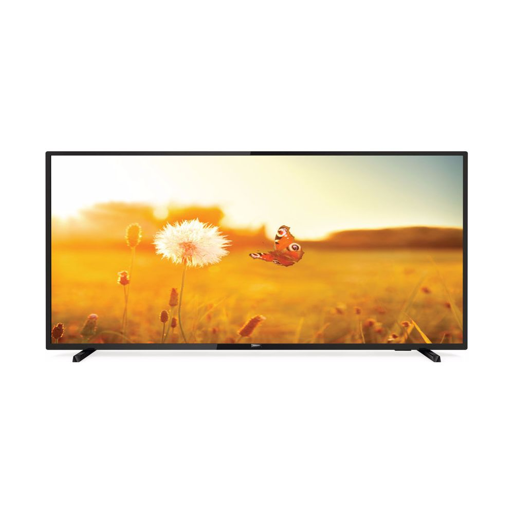 Un televisor muestra un prado soleado con un diente de león y una mariposa.