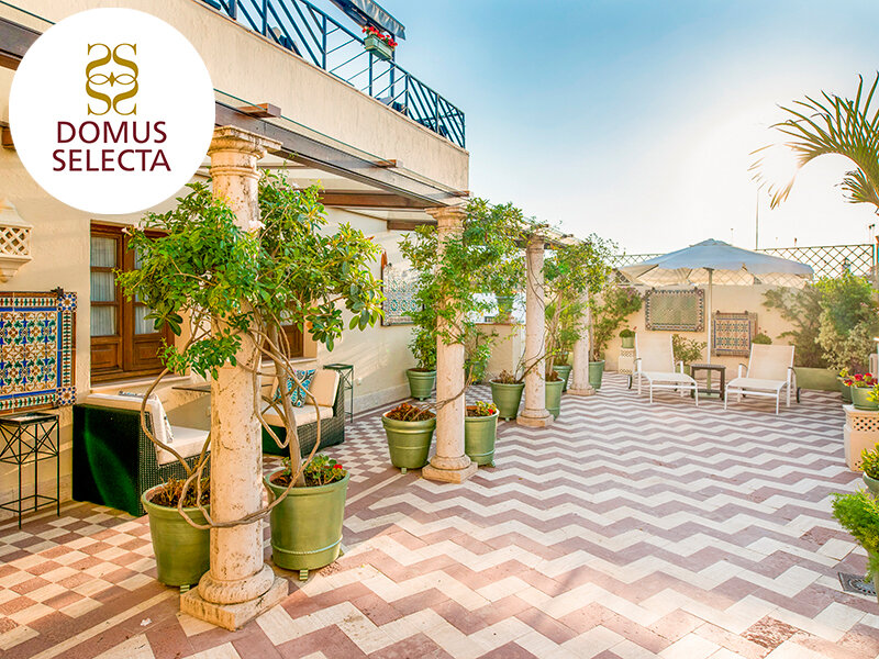 Soleada terraza en la azotea con columnas de piedra, plantas en macetas, tumbonas, sombrilla y suelo de baldosas.
