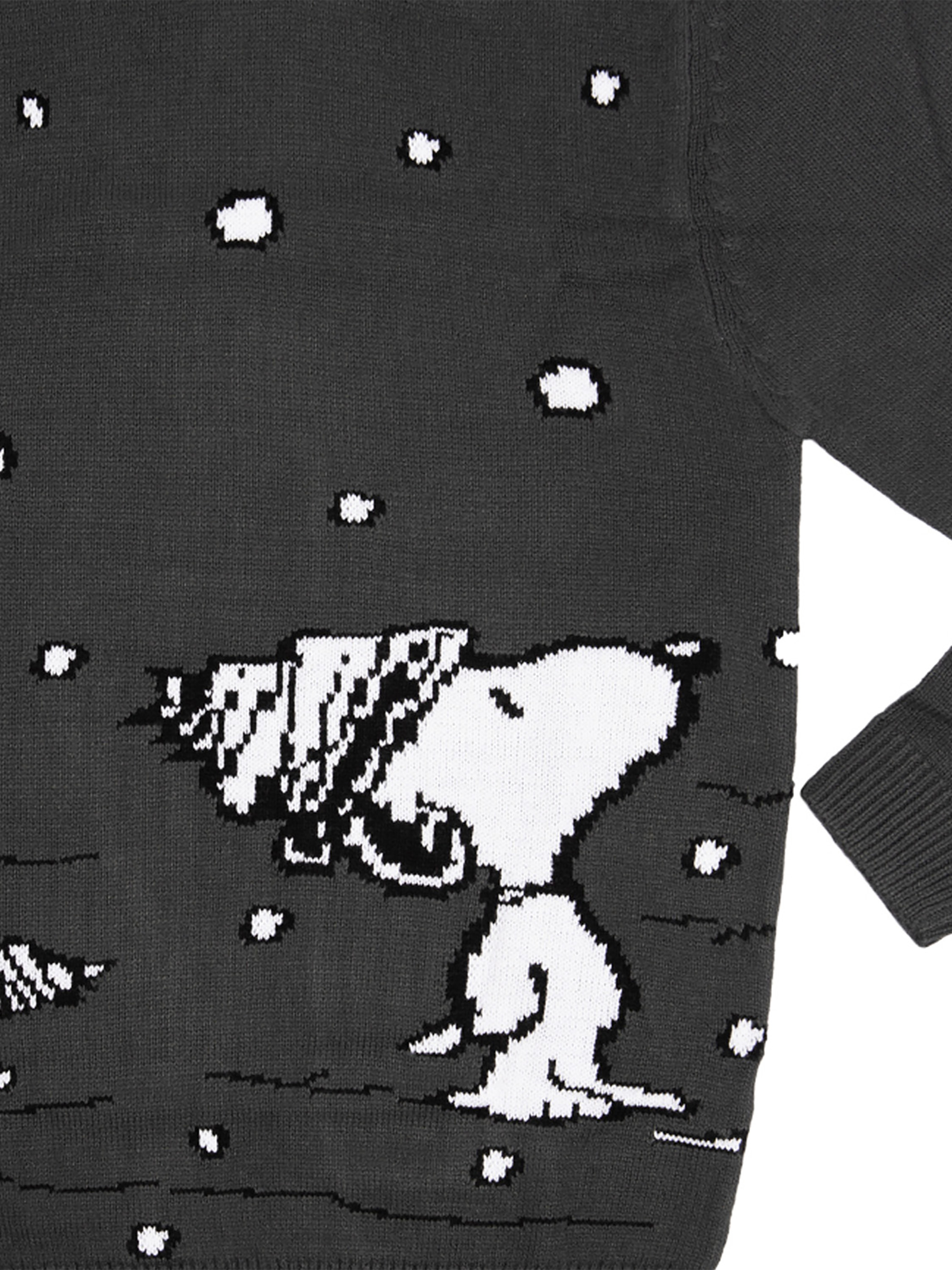 Dunkelgrauer Strickpullover mit weißem Snoopy-Motiv im Schneetreiben.