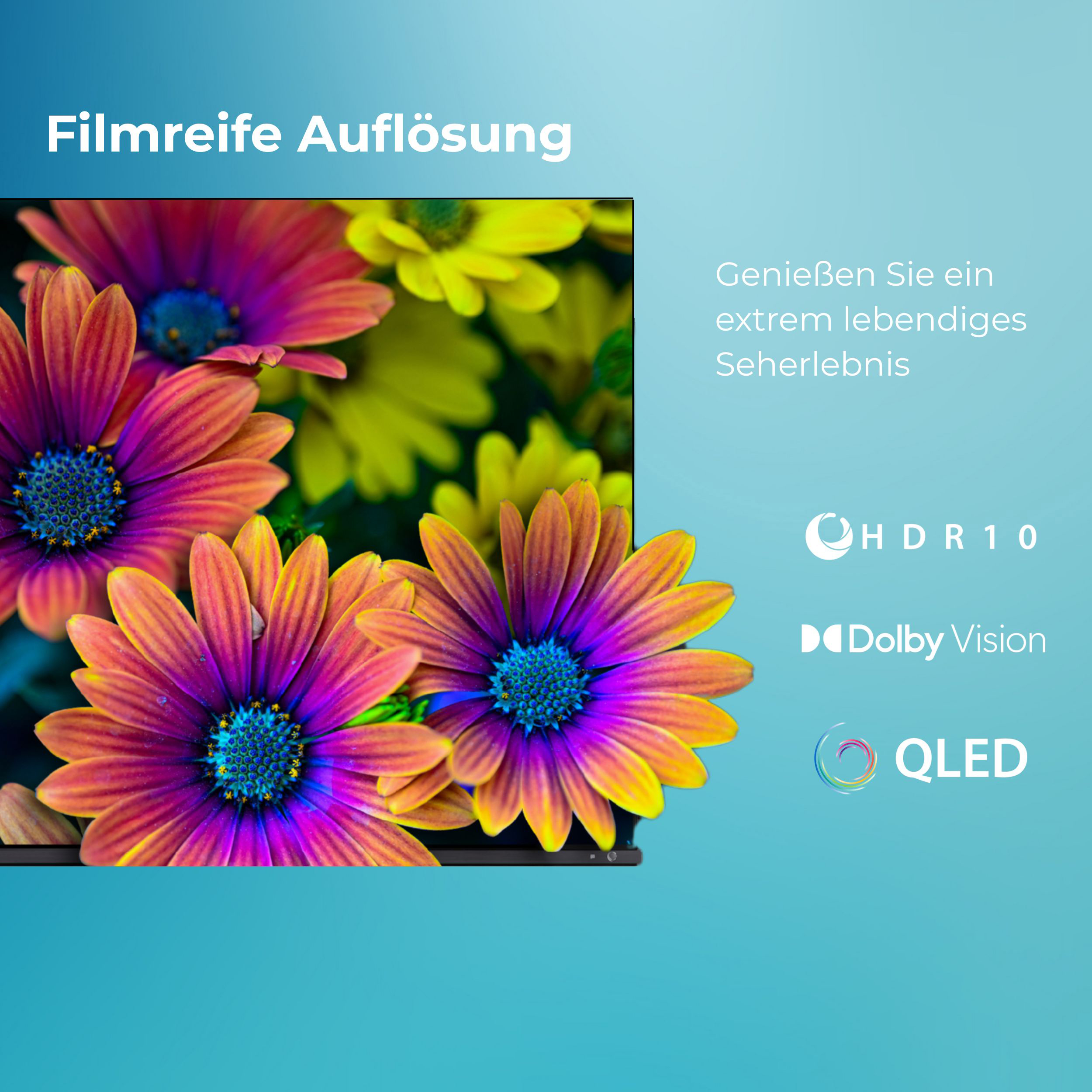 Ein TV-Bildschirm zeigt bunte Blumen mit HDR10, Dolby Vision und QLED Logos auf blauem Hintergrund.