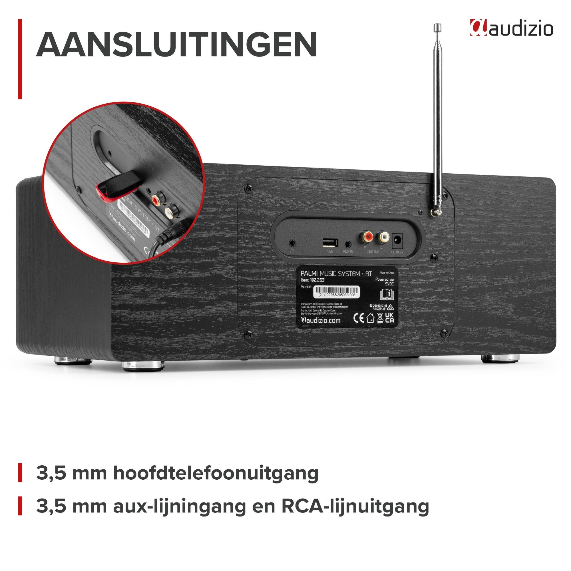 Rückseite des Audizio Palmi Musiksystems mit Anschlüssen und Teleskopantenne.