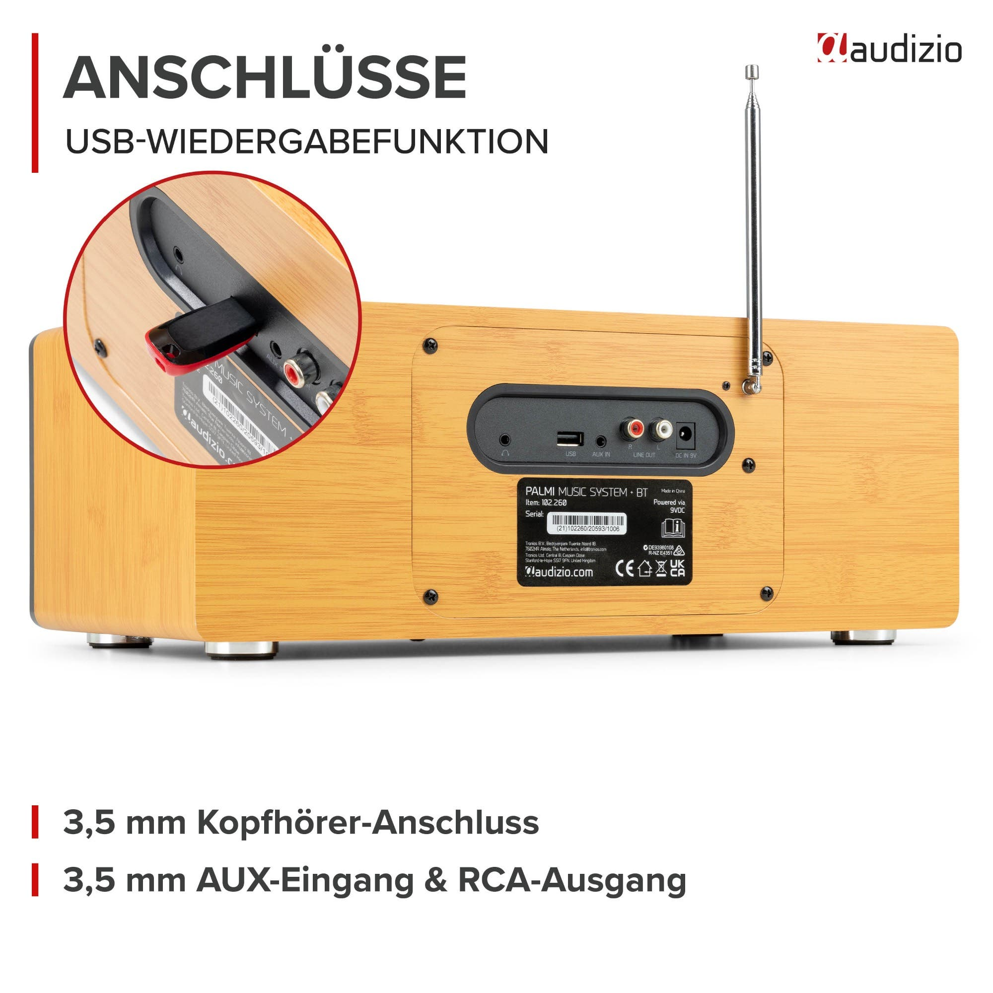 Holzfarbenes Audizio Musiksystem von hinten mit USB, AUX, Kopfhöreranschluss und Antenne.