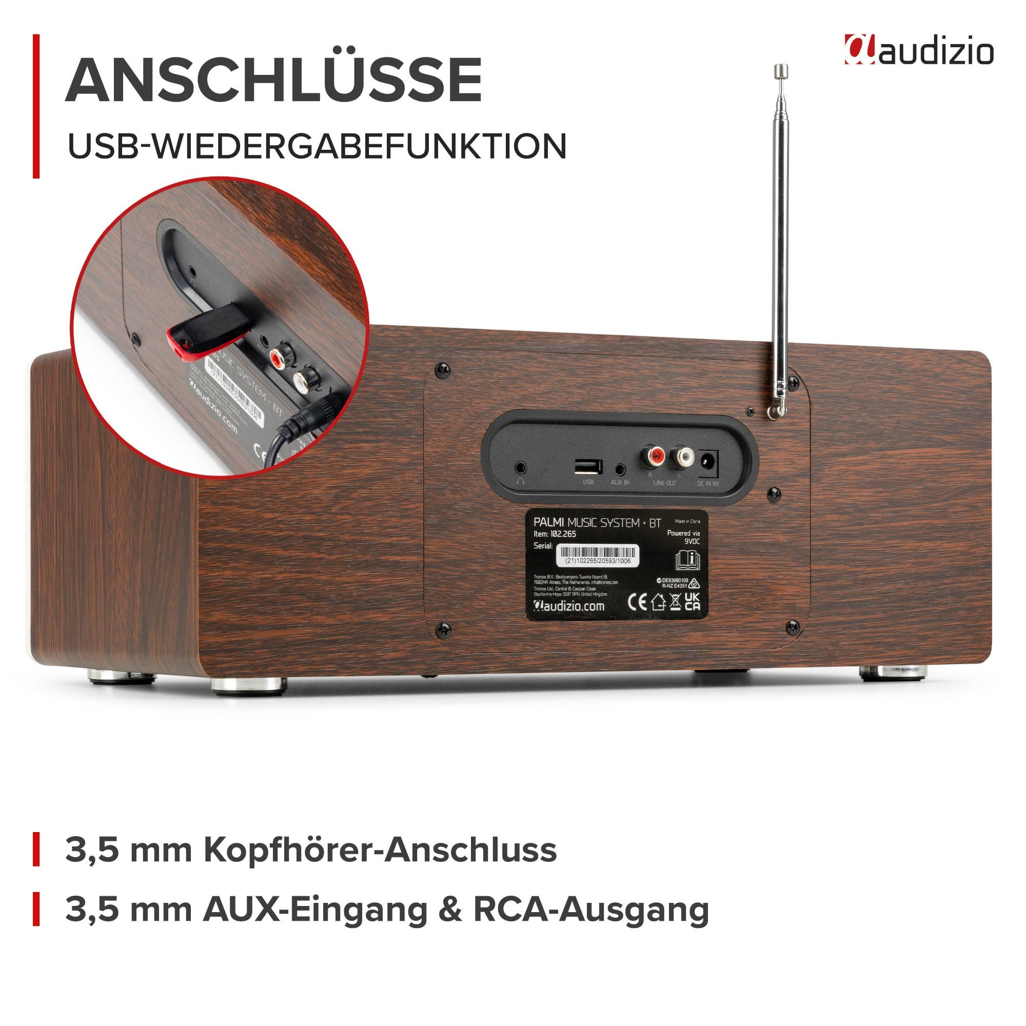 Rückseite eines Audizio Radios mit Antenne und Anschlüssen wie USB, AUX, Line-Out und Strom. Ein roter Kreis zeigt Details.