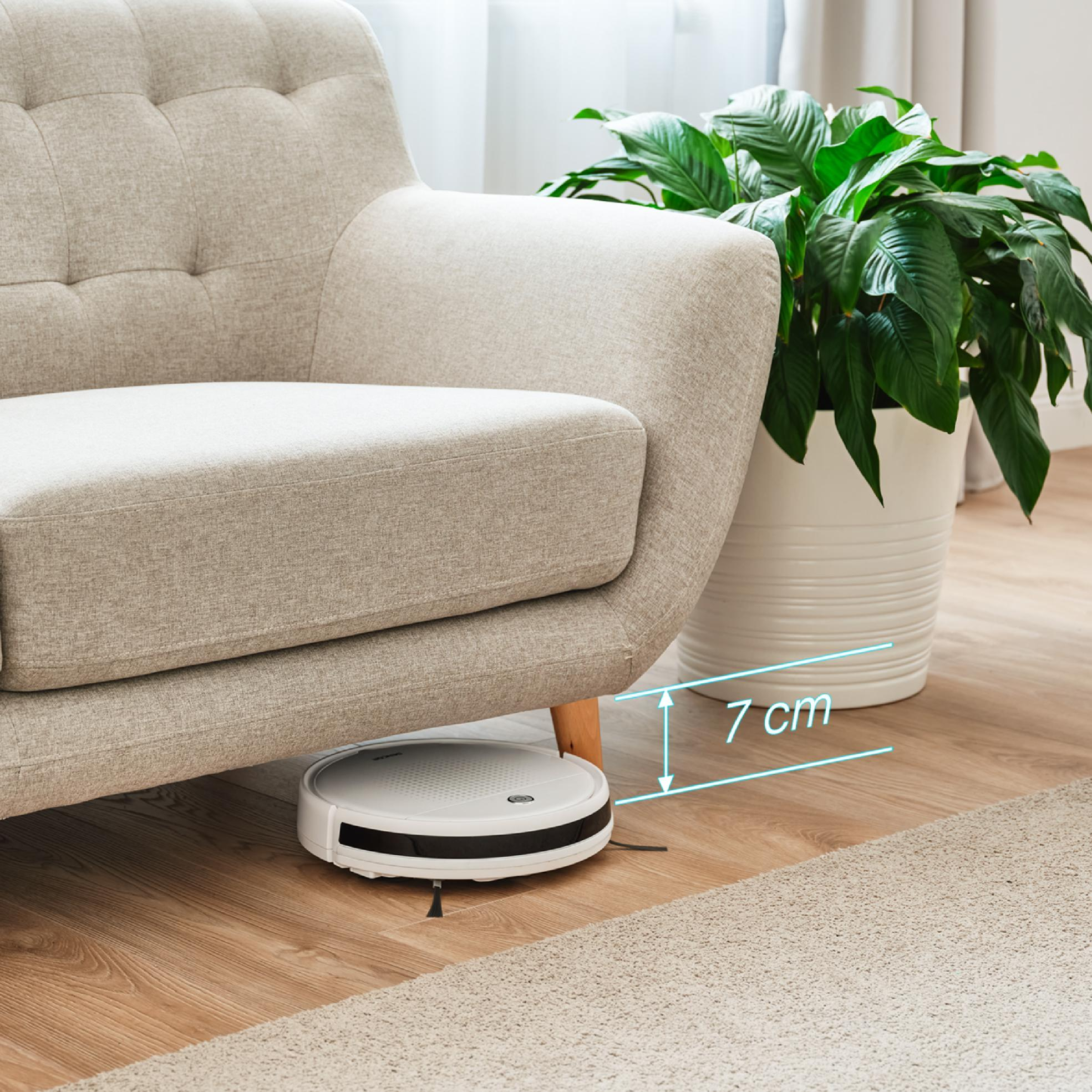 Un robot aspirador blanco limpia bajo un sofá con siete centímetros de altura libre, junto a una planta grande.