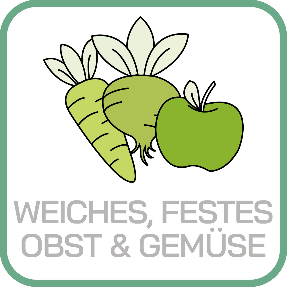 Grüne Illustration mit Karotte, Rübe und Apfel sowie dem Text WEICHES, FESTES OBST & GEMÜSE.
