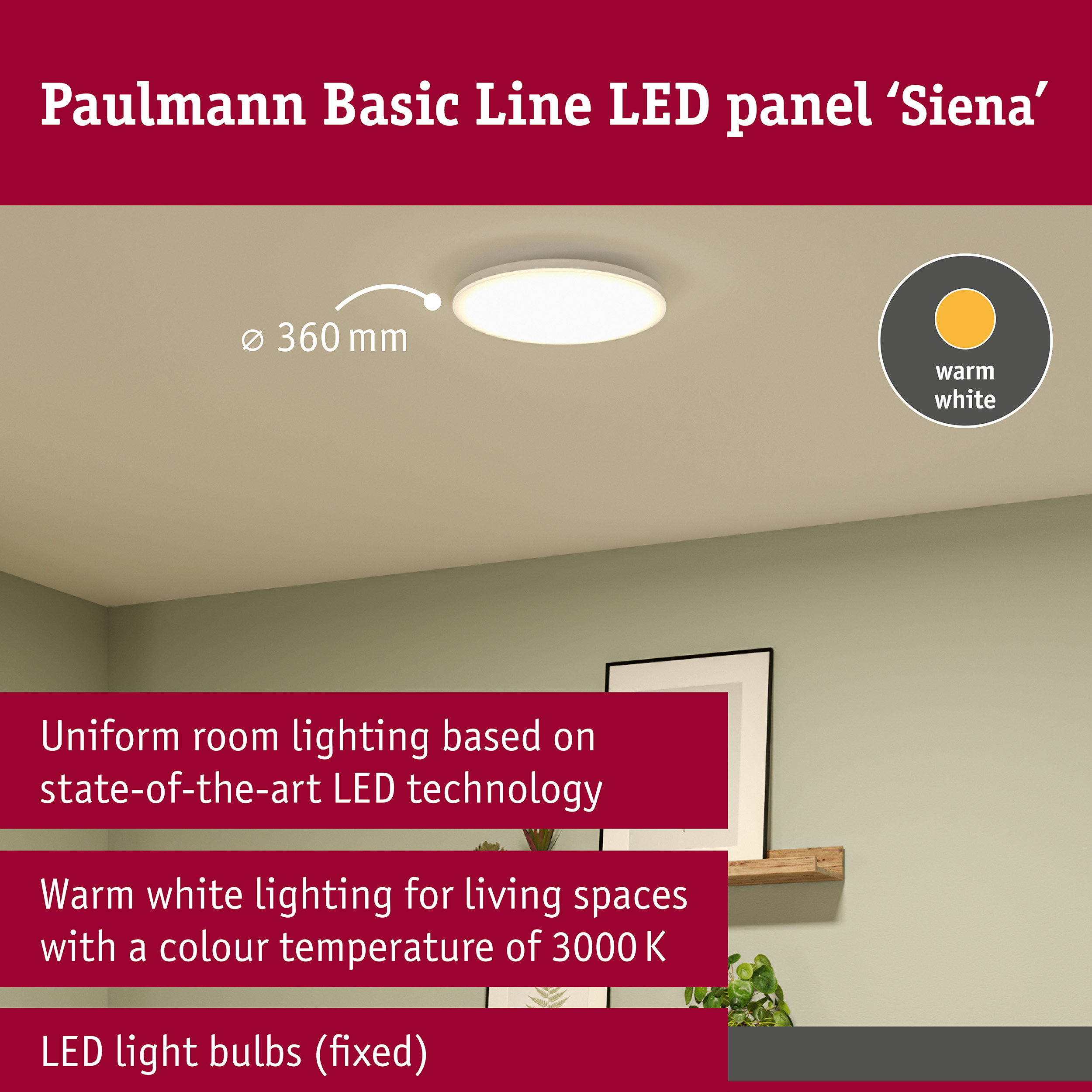 Rundes Paulmann LED-Panel Siena an einer hellen Zimmerdecke, mit Produktinformationen und warmweißem Lichtsymbol.