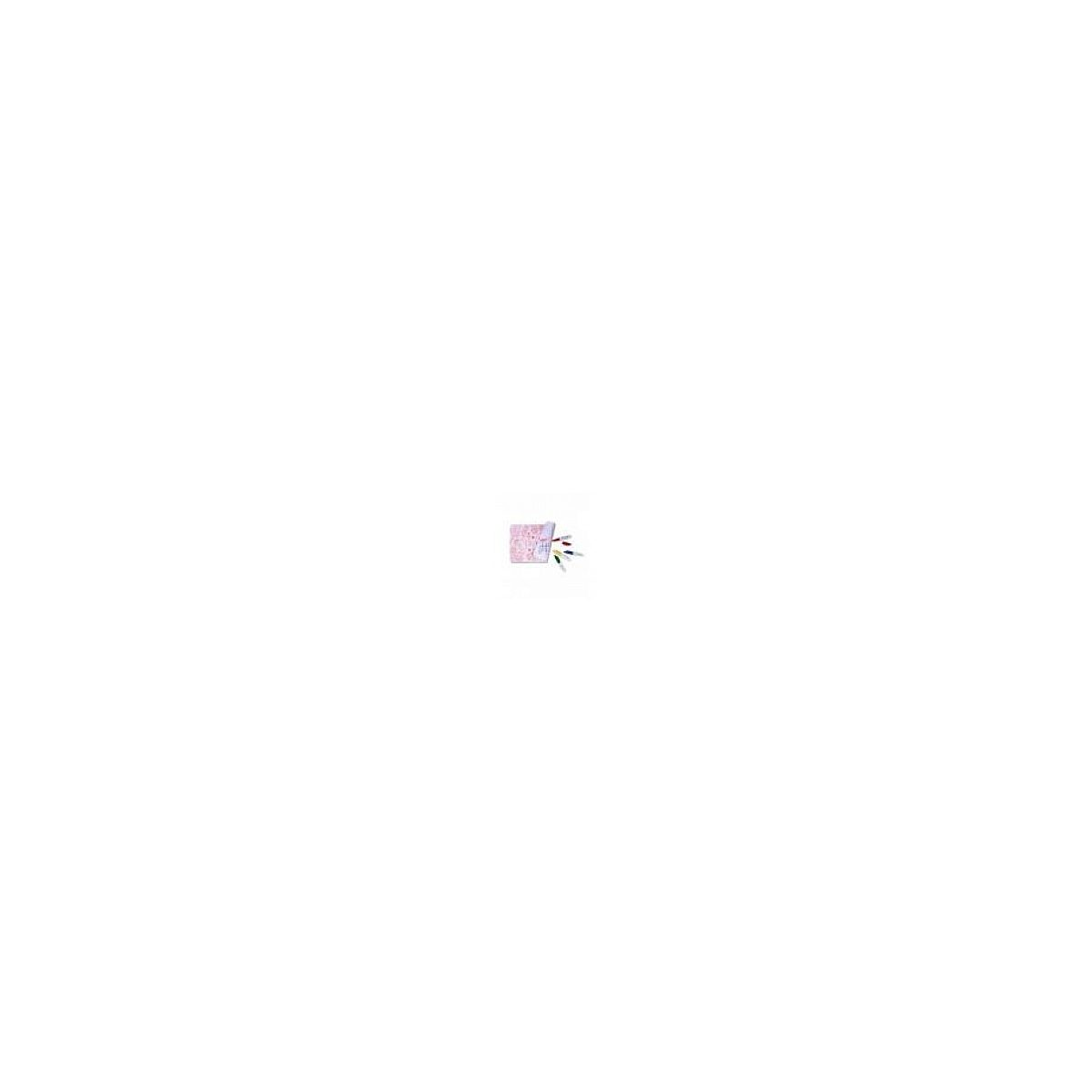Ein kleines pinkes Notizbuch mit bunten Stiften auf weißem Hintergrund.