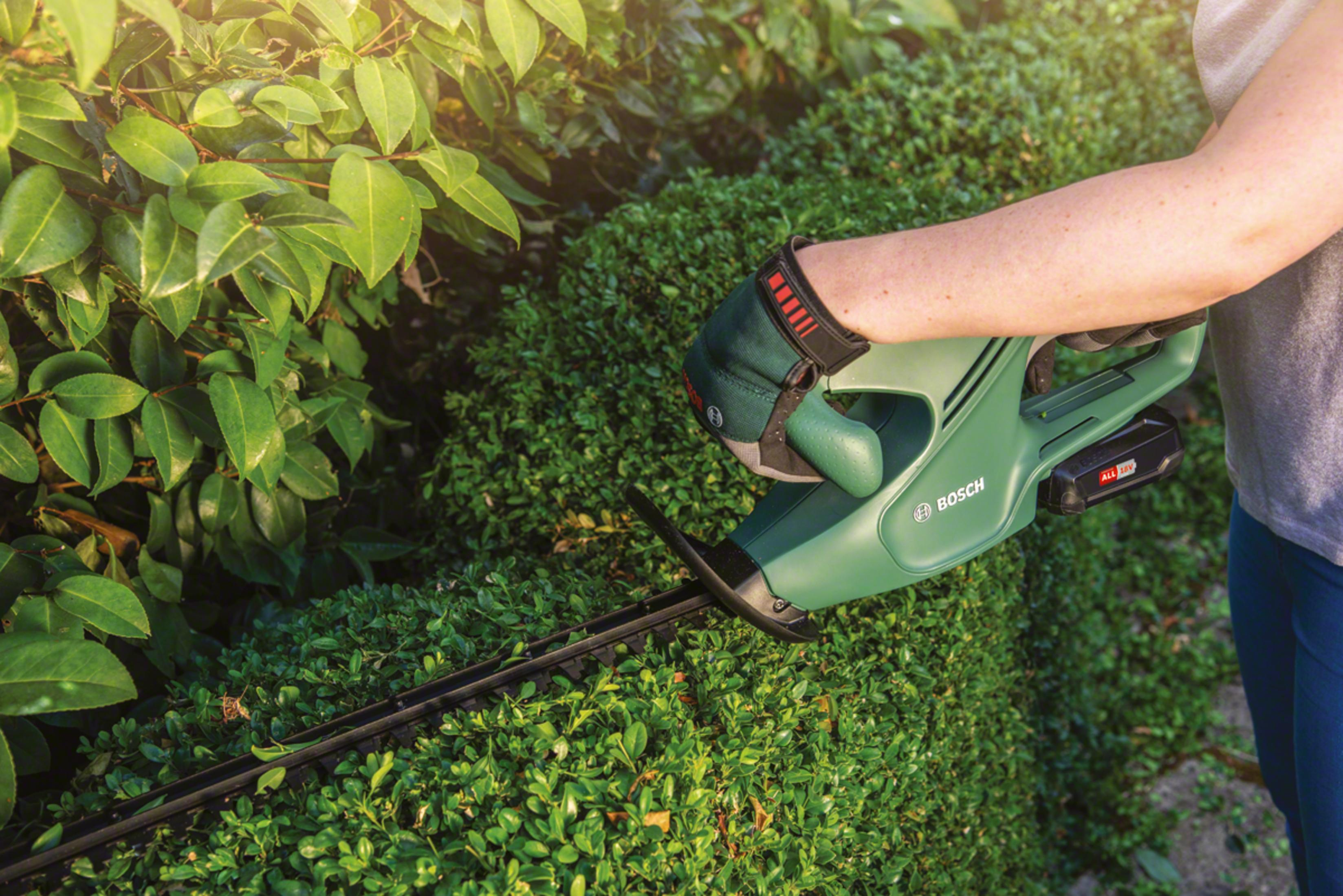 Eine Person formt mit einer grünen Bosch-Heckenschere grüne Büsche in einem sonnigen Garten.