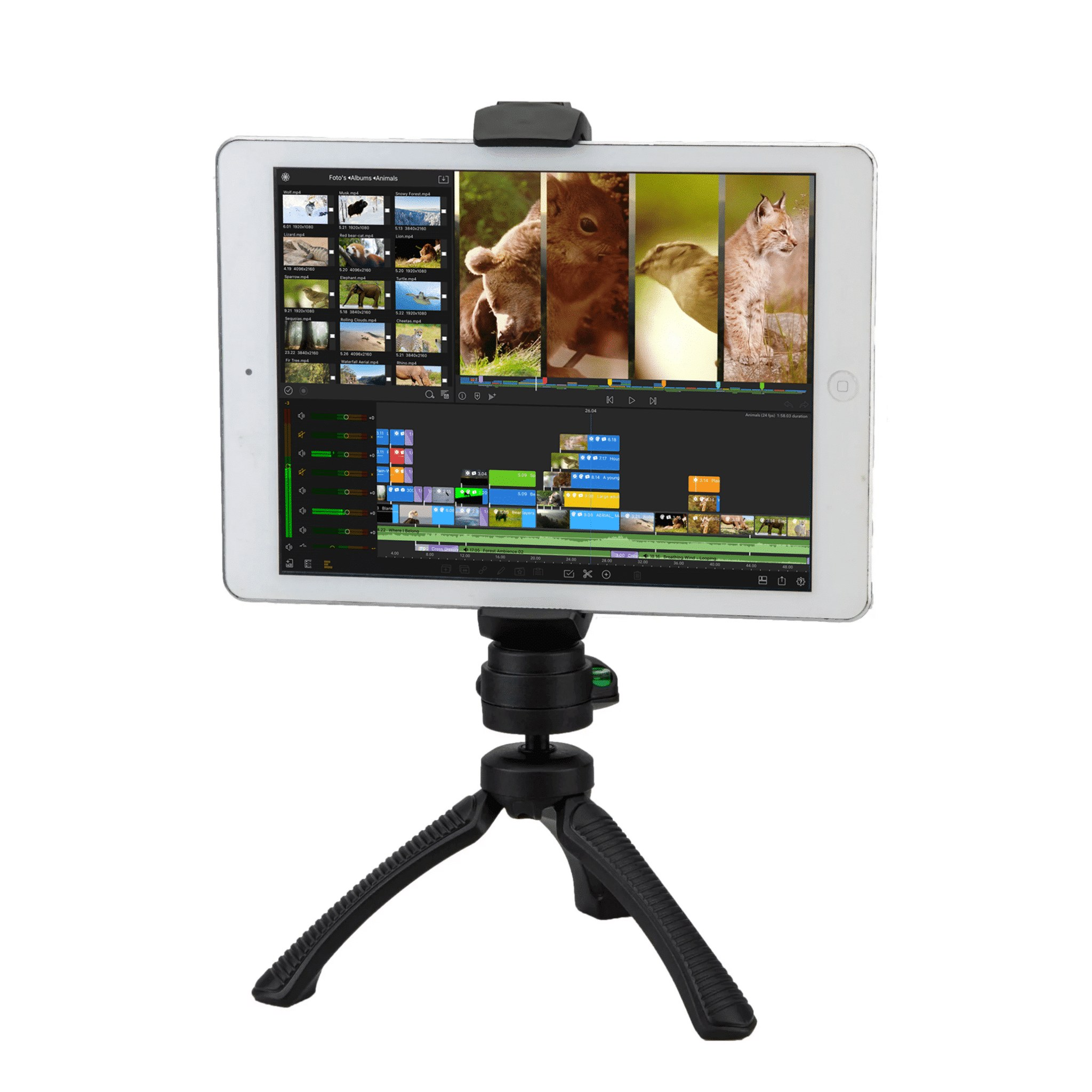 Ein Tablet auf einem kleinen schwarzen Stativ zeigt eine Video-App mit Tieren.