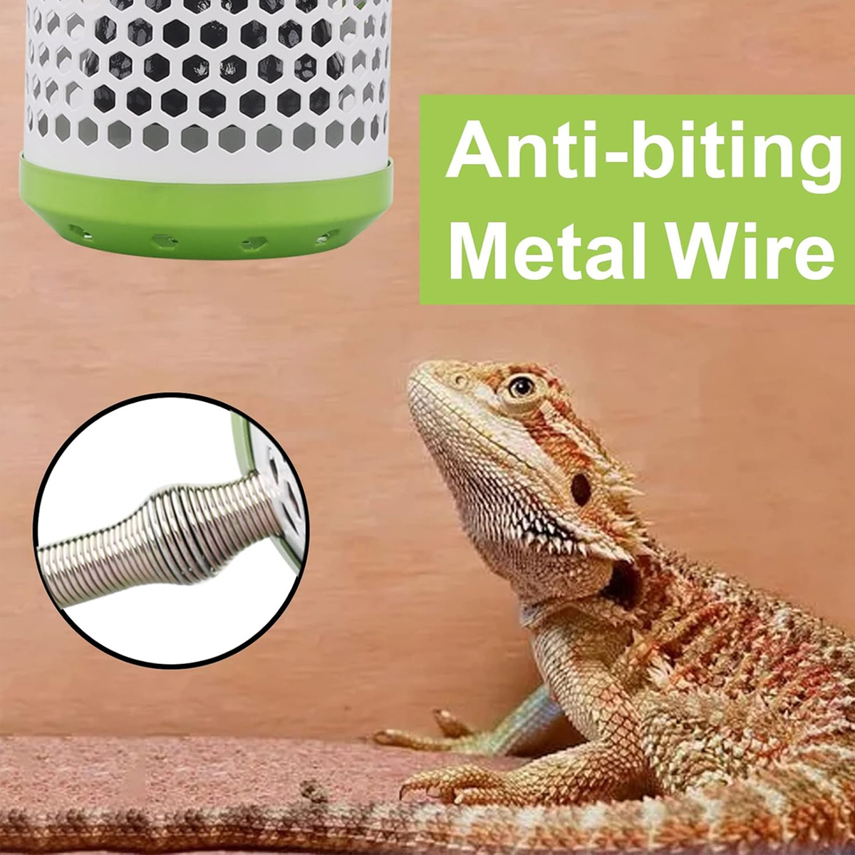 Bartagame auf rotem Untergrund mit Blick auf eine weiße Heizlampe und Metallschutz.