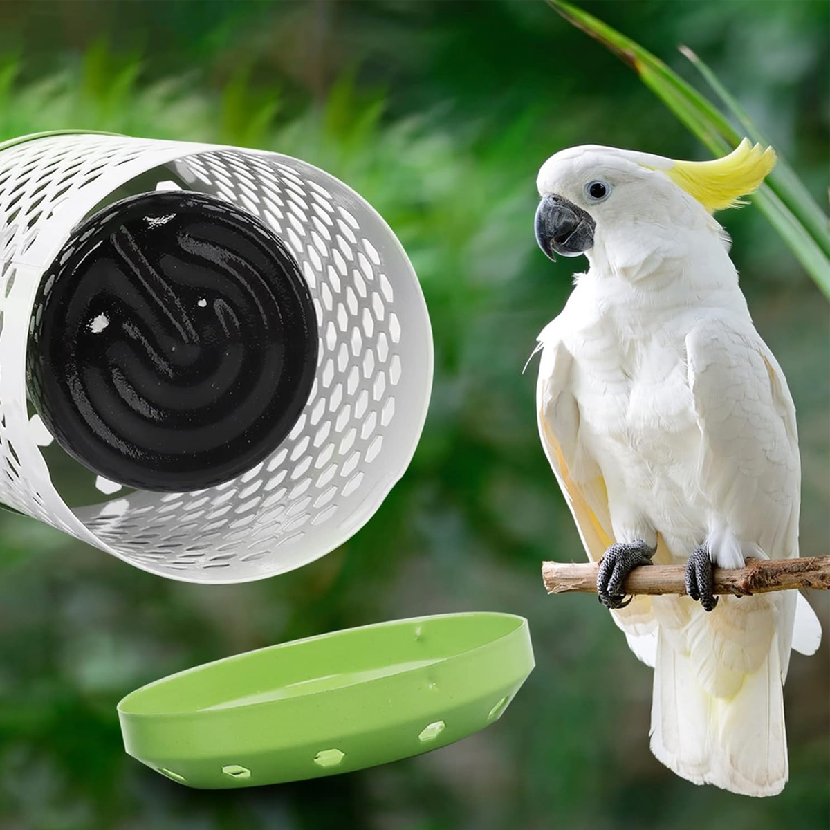 Ein weißer Kakadu mit gelber Haube sitzt auf einem Ast neben einer Lampe und einer Schale vor grünem Hintergrund.