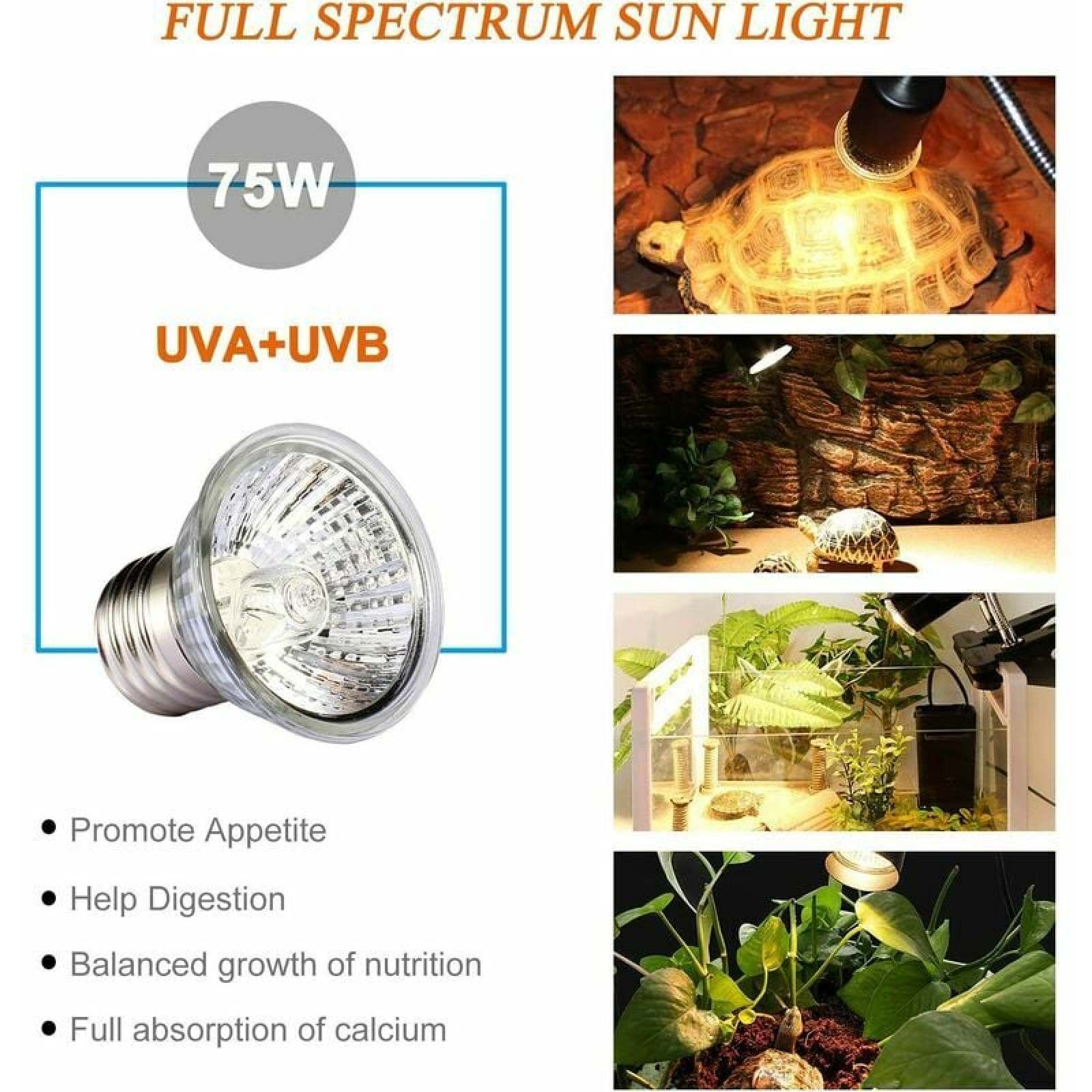 75W UVA+UVB Vollspektrum-Sonnenlichtlampe für Reptilien, mit Bildern von Schildkröten in Terrarien.