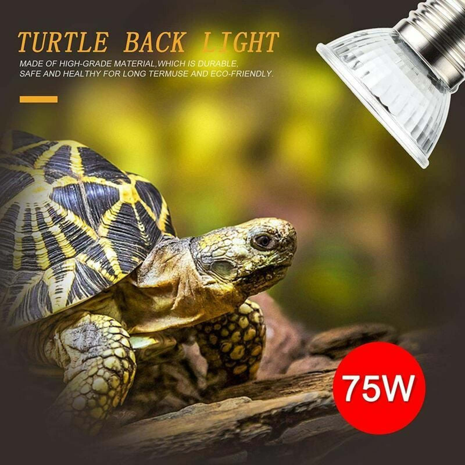 Schildkrötenlampe, 75W, mit einer leuchtenden Schildkröte und Text im Bild.