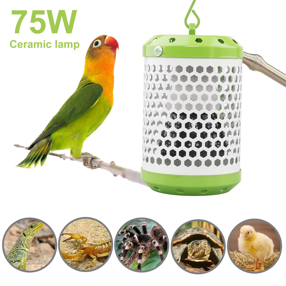 75W Keramiklampe für Tiere mit Papagei und runden Bildern von Echse, Skorpion, Spinne, Schildkröte und Küken.
