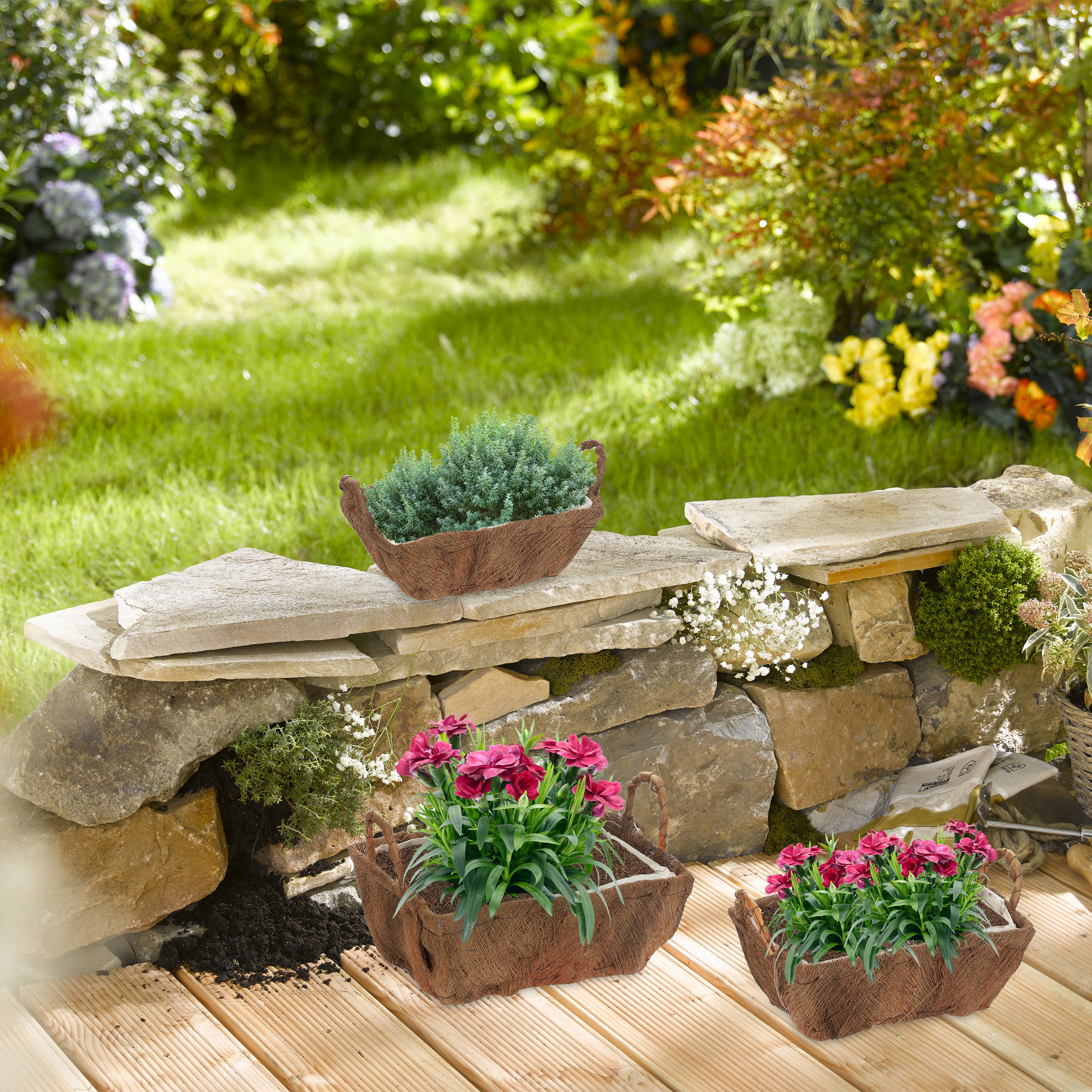 Pflanzenkörbe mit roten und grünen Pflanzen stehen vor einer Steinmauer in einem sonnigen Garten.