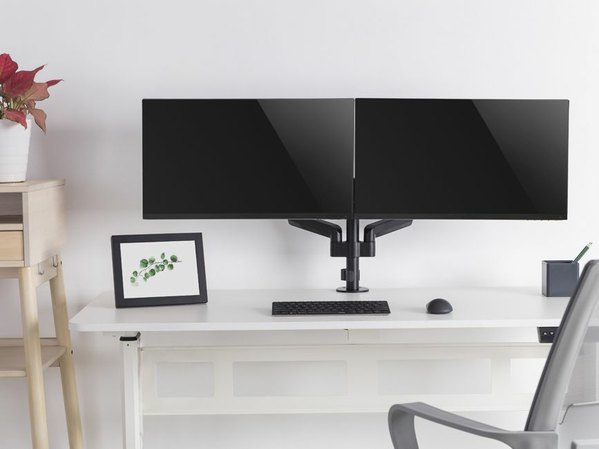 A white desk with dual monitors on an arm, a keyboard, a mouse, a framed plant art piece, and a small potted plant.