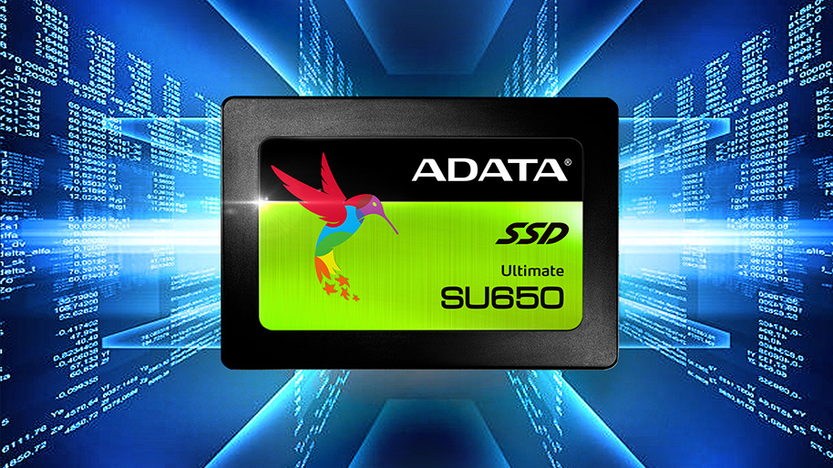 Eine ADATA SU650 SSD mit Kolibri-Logo vor einem blauen digitalen Hintergrund mit fließendem Code.