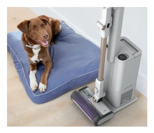 A brown dog sits on a blue dog bed next to a grey vacuum cleaner.