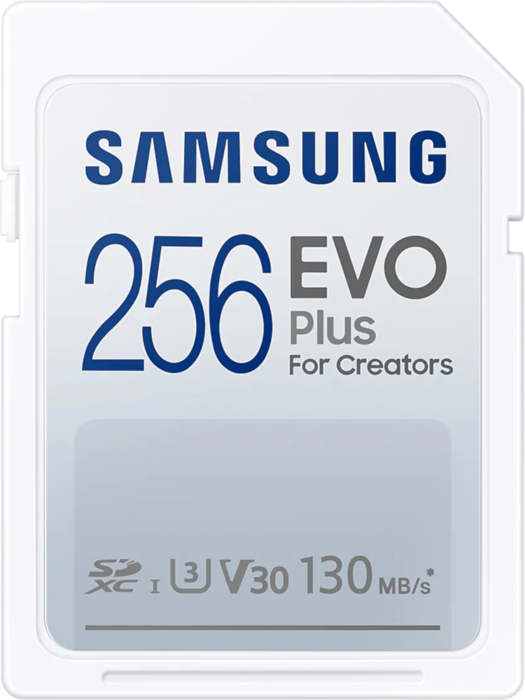 A white Samsung 256GB EVO Plus SD memory card.