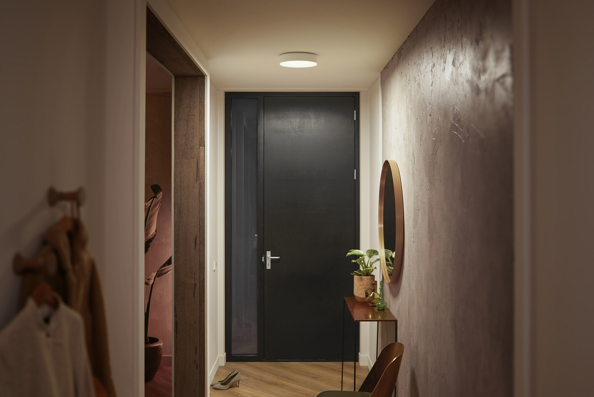 Ein heller Flur mit schwarzer Tür, braunem Holzboden, runder Lampe und Konsole mit Pflanze und Spiegel an der Wand.