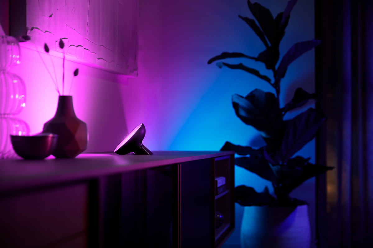 Ein dunkles Zimmer mit rosa und blauem Licht, einer Lampe auf einem Schrank und einer Topfpflanze.