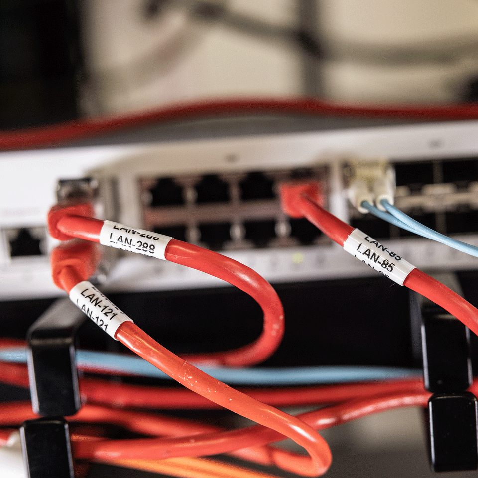 Network switch with connected red and blue LAN cables, labeled with text tags.